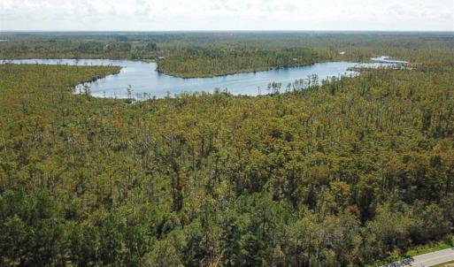 Photo of SOLD!!  52 Acres of Farm and Hunting Land For Sale in Tyrrell County NC!