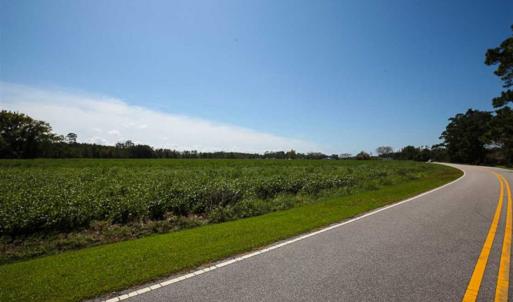 Photo of SOLD!!  52 Acres of Farm and Hunting Land For Sale in Tyrrell County NC!