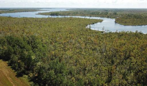 Photo of SOLD!!  52 Acres of Farm and Hunting Land For Sale in Tyrrell County NC!