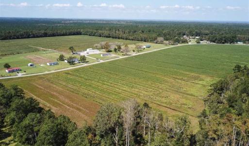 Photo of SOLD!!  52 Acres of Farm and Hunting Land For Sale in Tyrrell County NC!