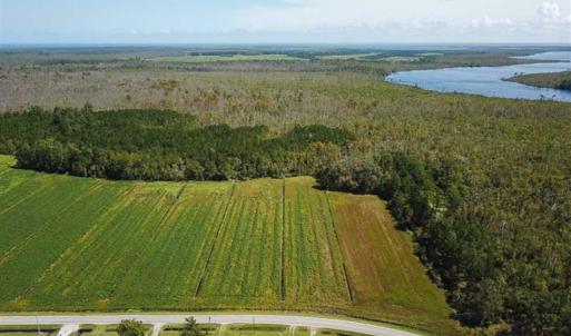 Photo of SOLD!!  52 Acres of Farm and Hunting Land For Sale in Tyrrell County NC!
