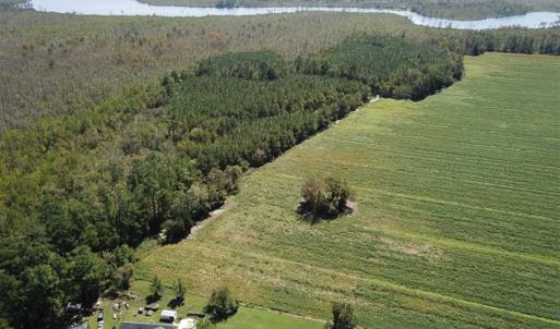 Photo of SOLD!!  52 Acres of Farm and Hunting Land For Sale in Tyrrell County NC!