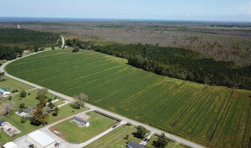 Photo of SOLD!!  52 Acres of Farm and Hunting Land For Sale in Tyrrell County NC!