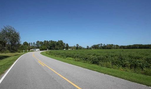 Photo of SOLD!!  52 Acres of Farm and Hunting Land For Sale in Tyrrell County NC!