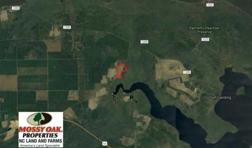 Photo of SOLD!!  52 Acres of Farm and Hunting Land For Sale in Tyrrell County NC!