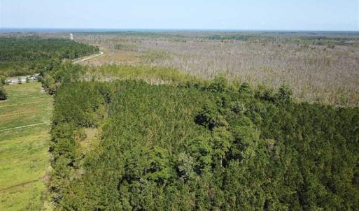 Photo of SOLD!!  52 Acres of Farm and Hunting Land For Sale in Tyrrell County NC!