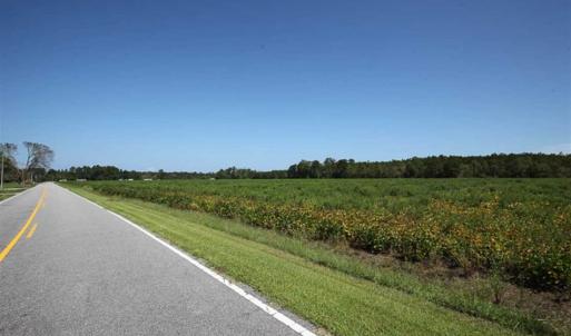 Photo of SOLD!!  52 Acres of Farm and Hunting Land For Sale in Tyrrell County NC!