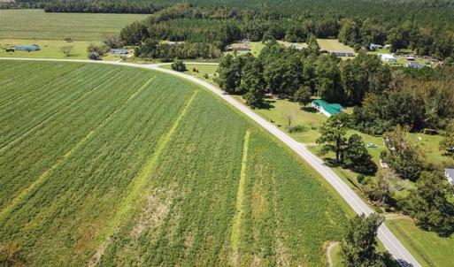 Photo of SOLD!!  52 Acres of Farm and Hunting Land For Sale in Tyrrell County NC!