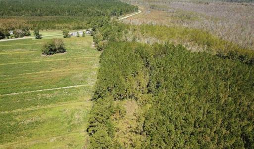 Photo of SOLD!!  52 Acres of Farm and Hunting Land For Sale in Tyrrell County NC!