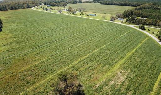 Photo of SOLD!!  52 Acres of Farm and Hunting Land For Sale in Tyrrell County NC!