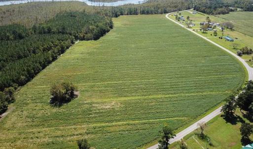 Photo of SOLD!!  52 Acres of Farm and Hunting Land For Sale in Tyrrell County NC!