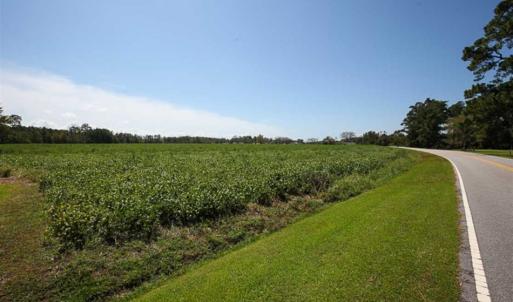 Photo of SOLD!!  52 Acres of Farm and Hunting Land For Sale in Tyrrell County NC!