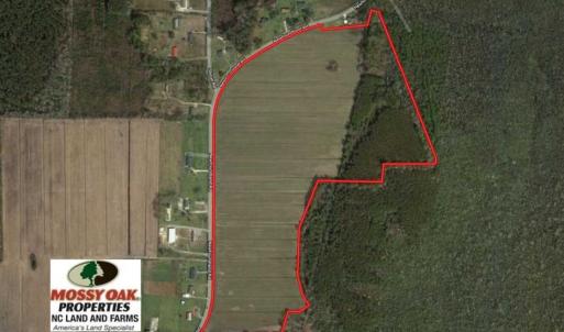 Photo of SOLD!!  52 Acres of Farm and Hunting Land For Sale in Tyrrell County NC!