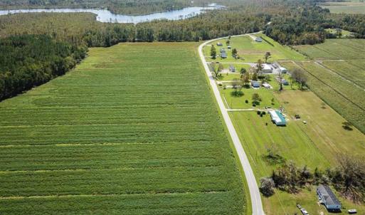 Photo of SOLD!!  52 Acres of Farm and Hunting Land For Sale in Tyrrell County NC!