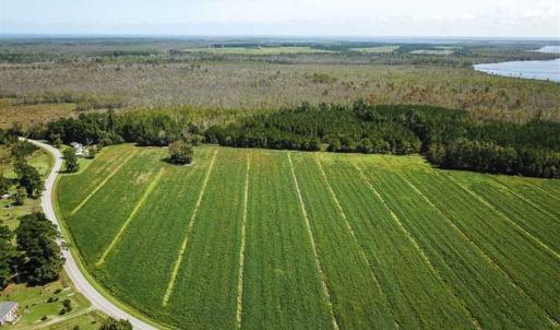Photo of SOLD!!  52 Acres of Farm and Hunting Land For Sale in Tyrrell County NC!