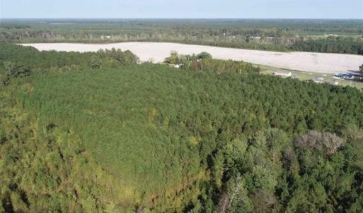 Photo of SOLD!! 13.7 Acres of Hunting and Timber Land For Sale in Gates County NC!