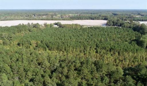 Photo of SOLD!! 13.7 Acres of Hunting and Timber Land For Sale in Gates County NC!