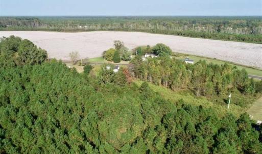 Photo of SOLD!! 13.7 Acres of Hunting and Timber Land For Sale in Gates County NC!