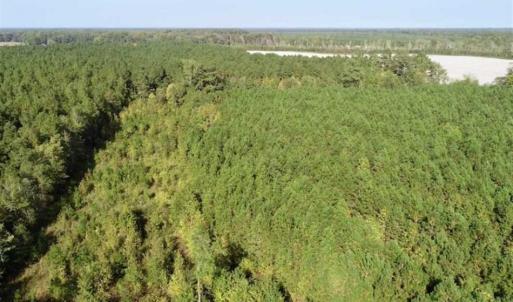 Photo of SOLD!! 13.7 Acres of Hunting and Timber Land For Sale in Gates County NC!