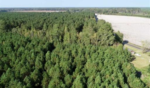 Photo of SOLD!! 13.7 Acres of Hunting and Timber Land For Sale in Gates County NC!
