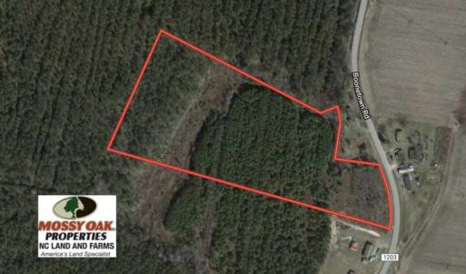 Photo of SOLD!! 13.7 Acres of Hunting and Timber Land For Sale in Gates County NC!