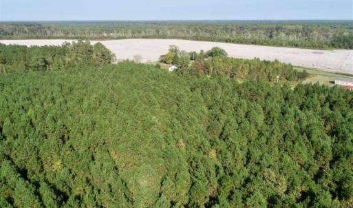Photo of SOLD!! 13.7 Acres of Hunting and Timber Land For Sale in Gates County NC!