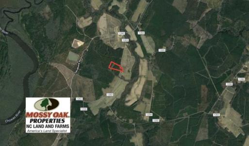 Photo of SOLD!! 13.7 Acres of Hunting and Timber Land For Sale in Gates County NC!