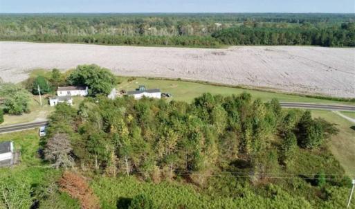 Photo of SOLD!! 13.7 Acres of Hunting and Timber Land For Sale in Gates County NC!