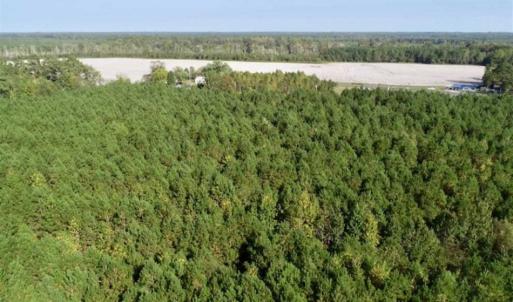 Photo of SOLD!! 13.7 Acres of Hunting and Timber Land For Sale in Gates County NC!