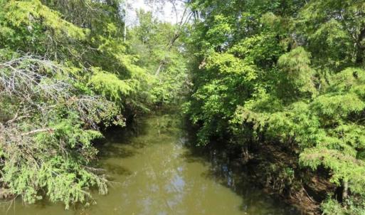 Photo of UNDER CONTRACT!!  44 Acres of Hunting and Timber Land For Sale in Columbus County NC!