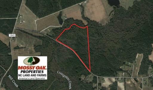 Photo of UNDER CONTRACT!!  44 Acres of Hunting and Timber Land For Sale in Columbus County NC!