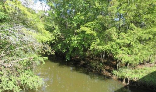 Photo of UNDER CONTRACT!!  44 Acres of Hunting and Timber Land For Sale in Columbus County NC!