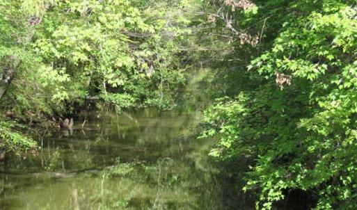 Photo of UNDER CONTRACT!!  44 Acres of Hunting and Timber Land For Sale in Columbus County NC!