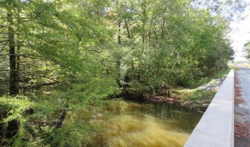 Photo of UNDER CONTRACT!!  44 Acres of Hunting and Timber Land For Sale in Columbus County NC!