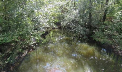 Photo of UNDER CONTRACT!!  44 Acres of Hunting and Timber Land For Sale in Columbus County NC!
