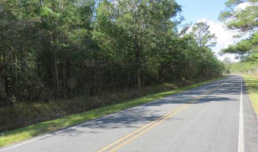 Photo of UNDER CONTRACT!!  44 Acres of Hunting and Timber Land For Sale in Columbus County NC!