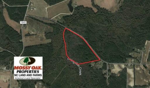Photo of UNDER CONTRACT!!  44 Acres of Hunting and Timber Land For Sale in Columbus County NC!