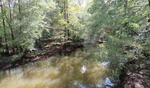 Photo of UNDER CONTRACT!!  44 Acres of Hunting and Timber Land For Sale in Columbus County NC!