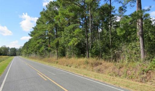 Photo of UNDER CONTRACT!!  172.7 Acres of Hunting and Timber Land For Sale in Columbus County NC!