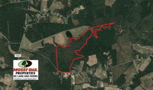 Photo of UNDER CONTRACT!!  172.7 Acres of Hunting and Timber Land For Sale in Columbus County NC!