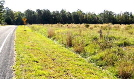 Photo of SOLD!!  45 Acres of Farm and Hunting Land For Sale in Columbus County NC!