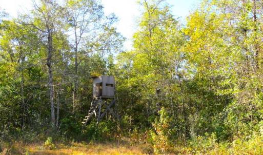 Photo of SOLD!!  45 Acres of Farm and Hunting Land For Sale in Columbus County NC!