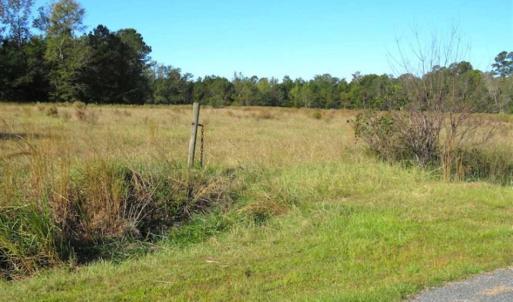 Photo of SOLD!!  45 Acres of Farm and Hunting Land For Sale in Columbus County NC!
