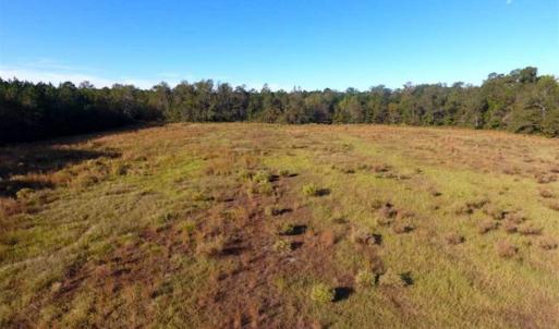 Photo of SOLD!!  45 Acres of Farm and Hunting Land For Sale in Columbus County NC!