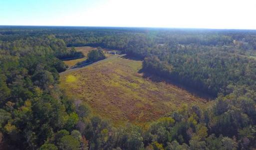 Photo of SOLD!!  45 Acres of Farm and Hunting Land For Sale in Columbus County NC!