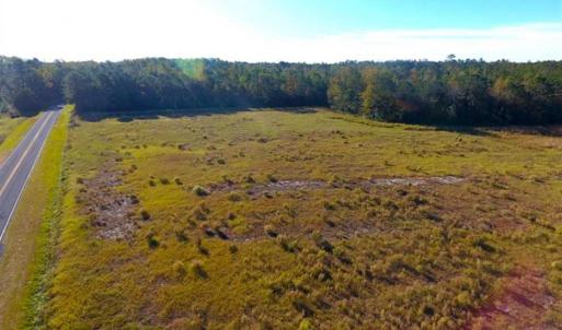 Photo of SOLD!!  45 Acres of Farm and Hunting Land For Sale in Columbus County NC!