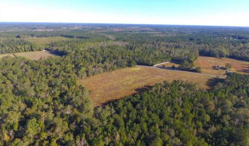 Photo of SOLD!!  45 Acres of Farm and Hunting Land For Sale in Columbus County NC!