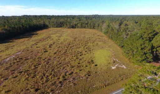 Photo of SOLD!!  45 Acres of Farm and Hunting Land For Sale in Columbus County NC!