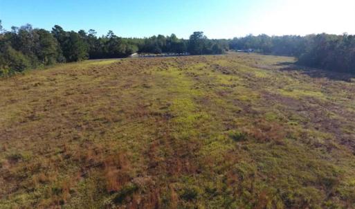 Photo of SOLD!!  45 Acres of Farm and Hunting Land For Sale in Columbus County NC!