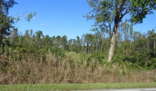 Photo of SOLD!!  25.9 Acres of Residential and Hunting Land For Sale in Columbus County NC!